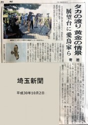 埼玉新聞の記事